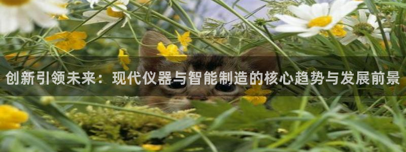 门徒娱乐总代理是谁呀：创新引领未来：现代仪器与智能制造的核心