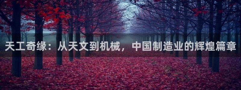门徒娱乐代理待遇好吗