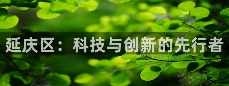 门徒娱乐服务器在哪里