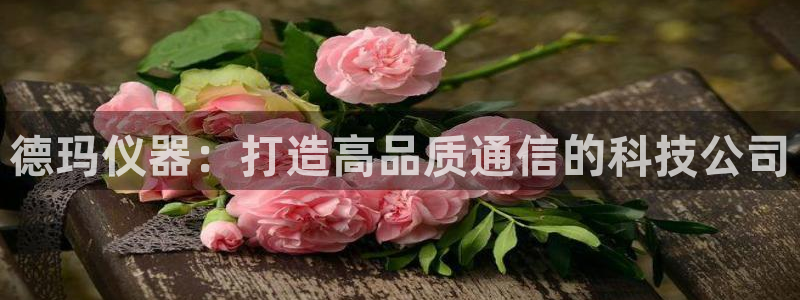 娱乐门徒未删减