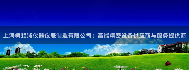 门徒娱乐怎么注册会员卡：上海梅颖浦仪器仪表制造有限公司：高端