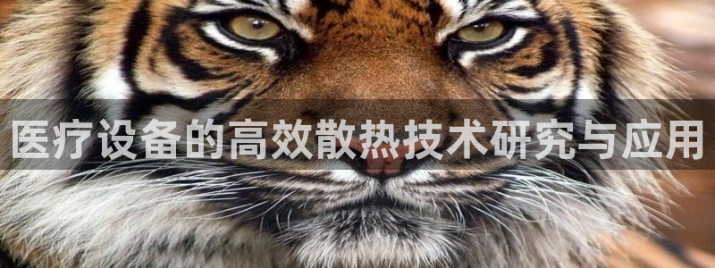 门徒娱乐主管39977l6视频