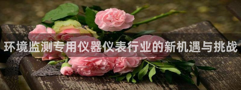 门徒娱乐怎么样知乎