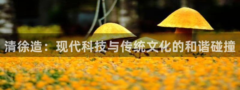 门徒第娱乐月7O667