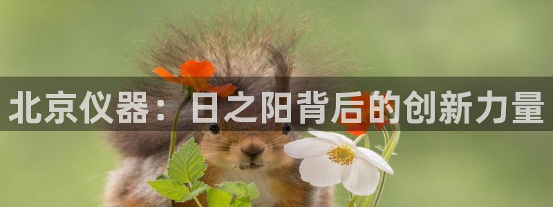 门徒娱乐总代理电话号码查询