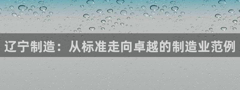 门徒娱乐是干嘛的：辽宁制造：从标准走向卓越的制造业范例