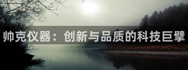 娱乐圈明星门徒：帅克仪器：创新与品质的科技巨擘
