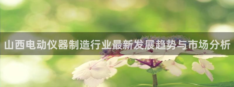 门徒娱乐怎么注册账号的：山西电动仪器制造行业最新发展趋势与市