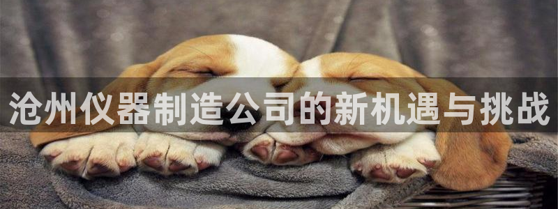 门徒彩票娱乐用户评价表：沧州仪器制造公司的新机遇与挑战