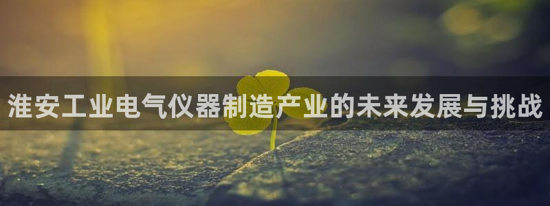 和娱乐门徒相似的小说：淮安工业电气仪器制造产业的未来发展与挑